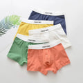 Cotton Boxer Shorts