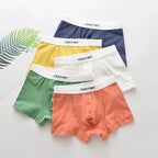 Cotton Boxer Shorts