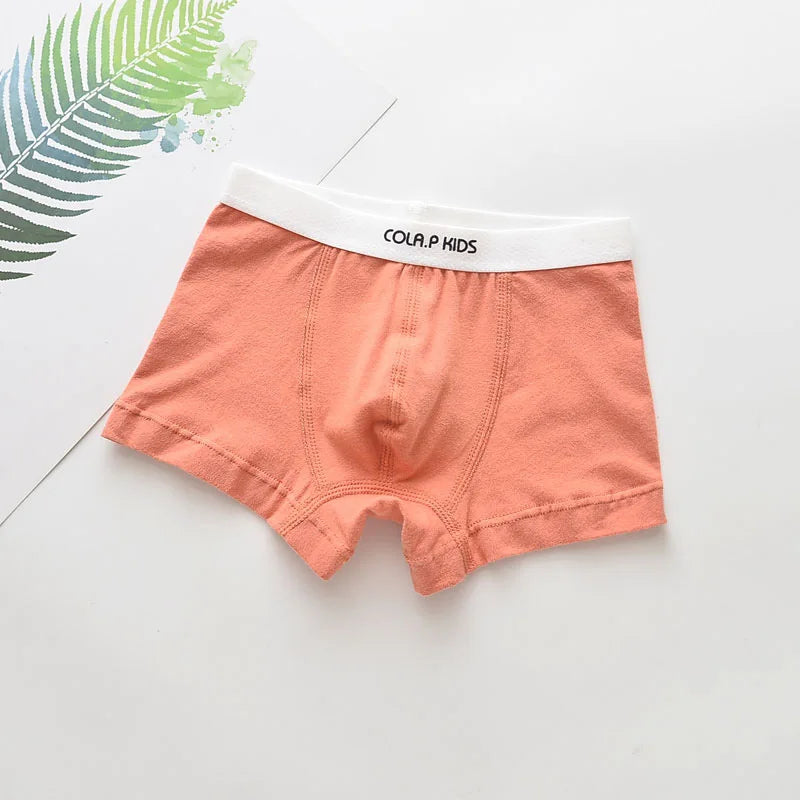 Cotton Boxer Shorts