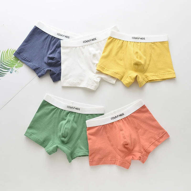 Cotton Boxer Shorts