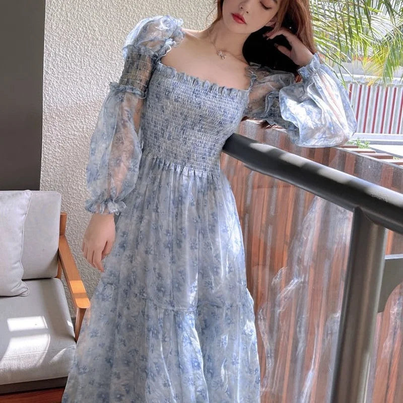 Mesh Sweet Mid-calf Print Long Sleeve Dress