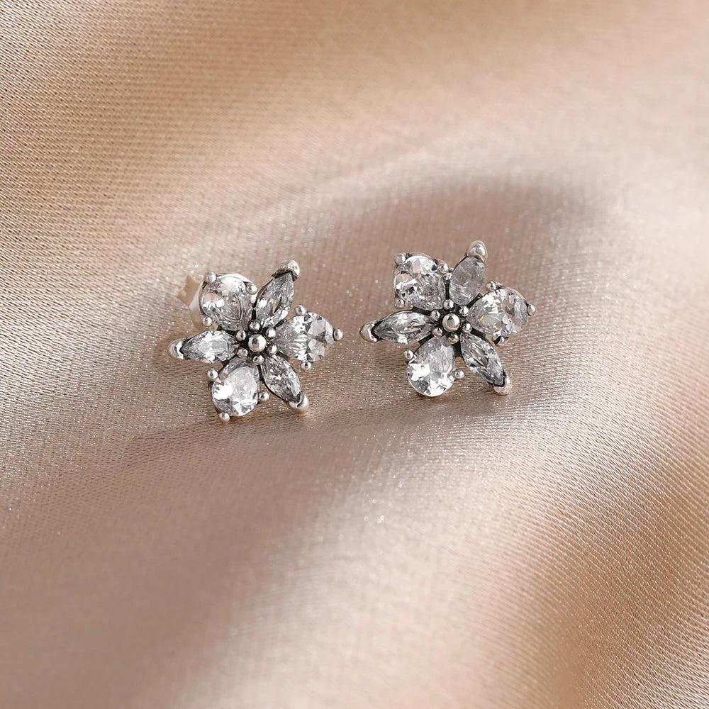 925 Silver Earrings