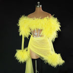 See Thru Feather Dress
