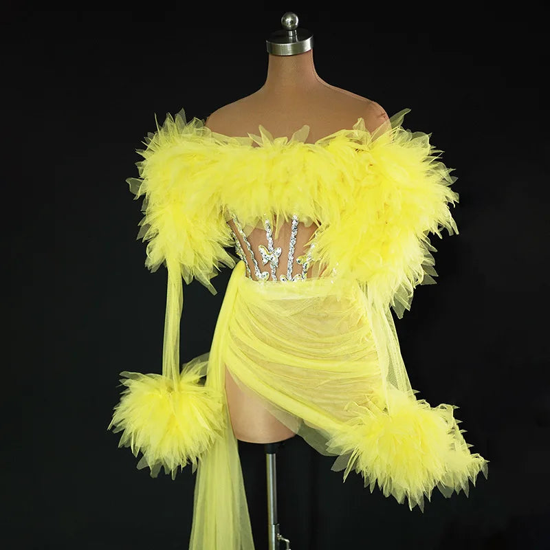 See Thru Feather Dress