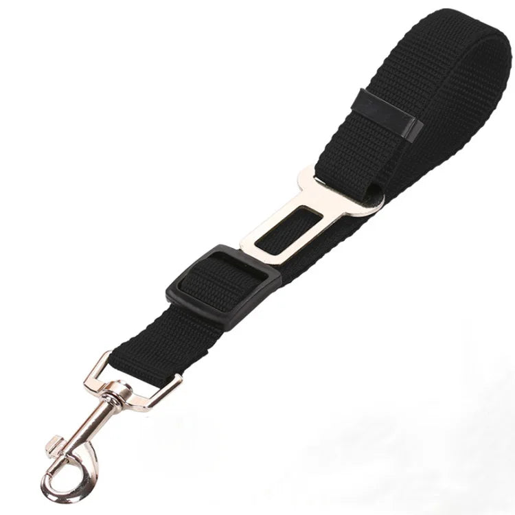 Car Seat Belt