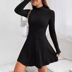 Mock Neck Ribbed Knit Skater Dress