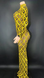 Sparkly Big Rhinestone Transparent Long Dress