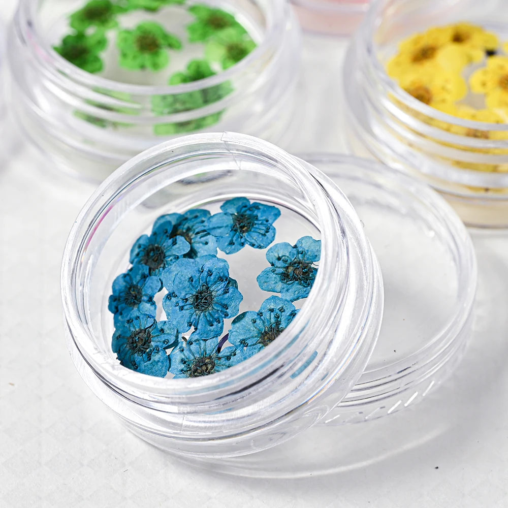 16Color Dried Flower Nail Art Decoration Mini Real Natural Daffodil Flower Nail Art Supplies 3D Dry Flowers Manicure DIY Design*