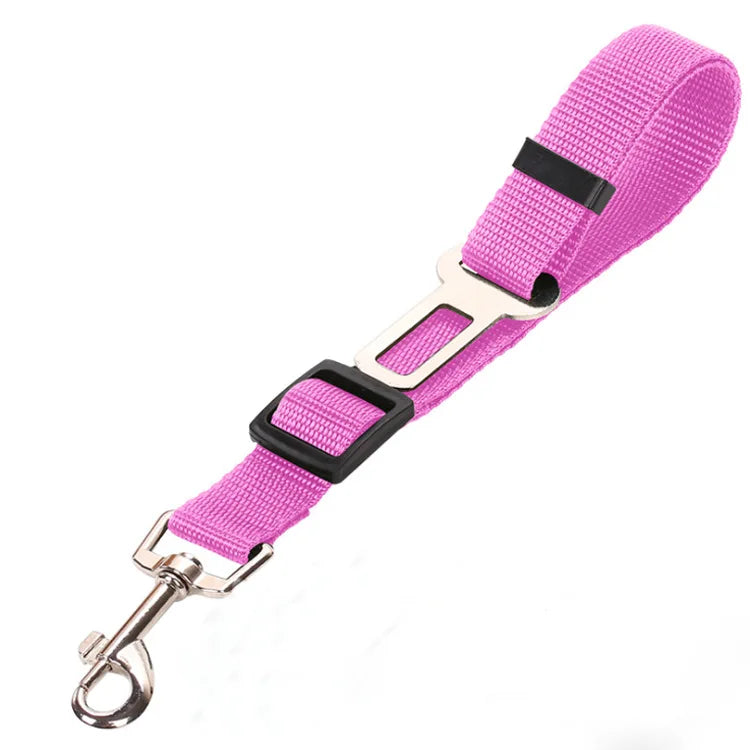 Car Seat Belt