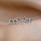 925 Silver Earrings