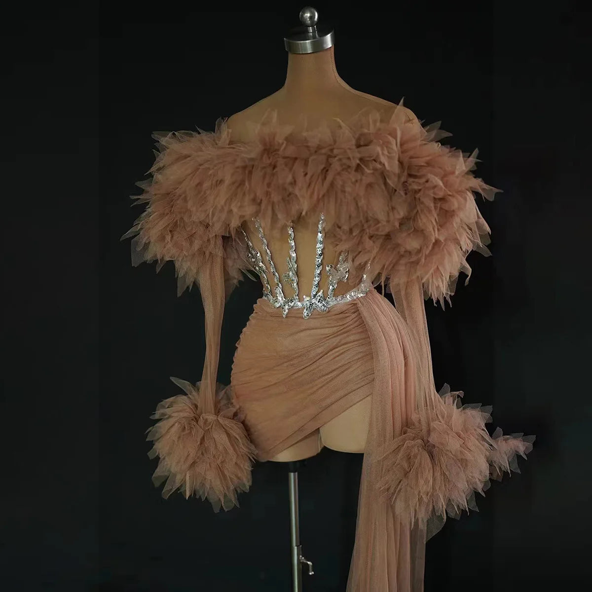 See Thru Feather Dress