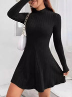 Mock Neck Ribbed Knit Skater Dress