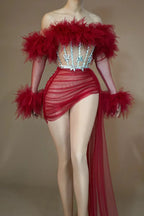 See Thru Feather Dress