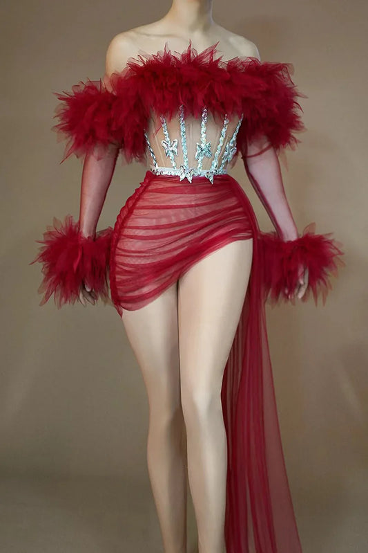 See Thru Feather Dress