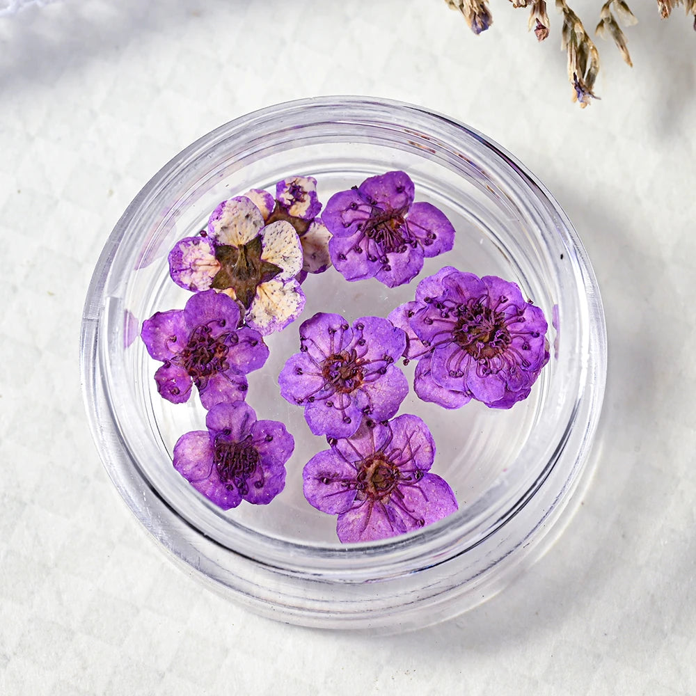 16Color Dried Flower Nail Art Decoration Mini Real Natural Daffodil Flower Nail Art Supplies 3D Dry Flowers Manicure DIY Design*