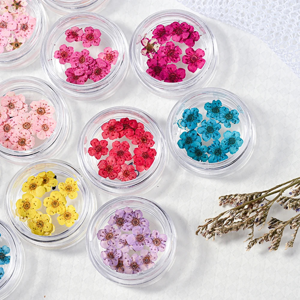 16Color Dried Flower Nail Art Decoration Mini Real Natural Daffodil Flower Nail Art Supplies 3D Dry Flowers Manicure DIY Design*