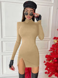 Long Sleeve Bodycon Solid Mini Dress