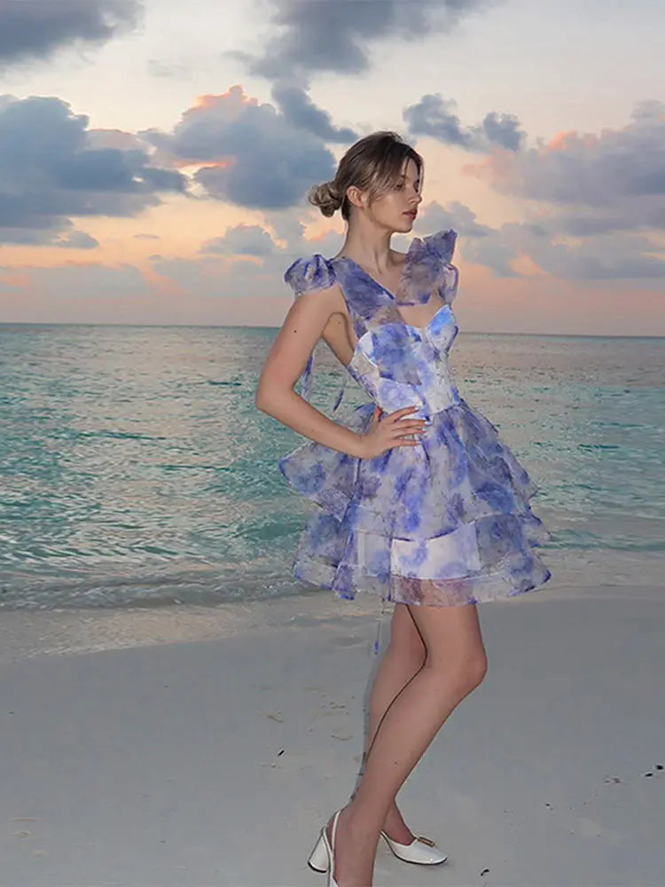 Print Flower Lace Up Ball Gown Mini Dress