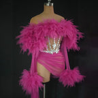 See Thru Feather Dress