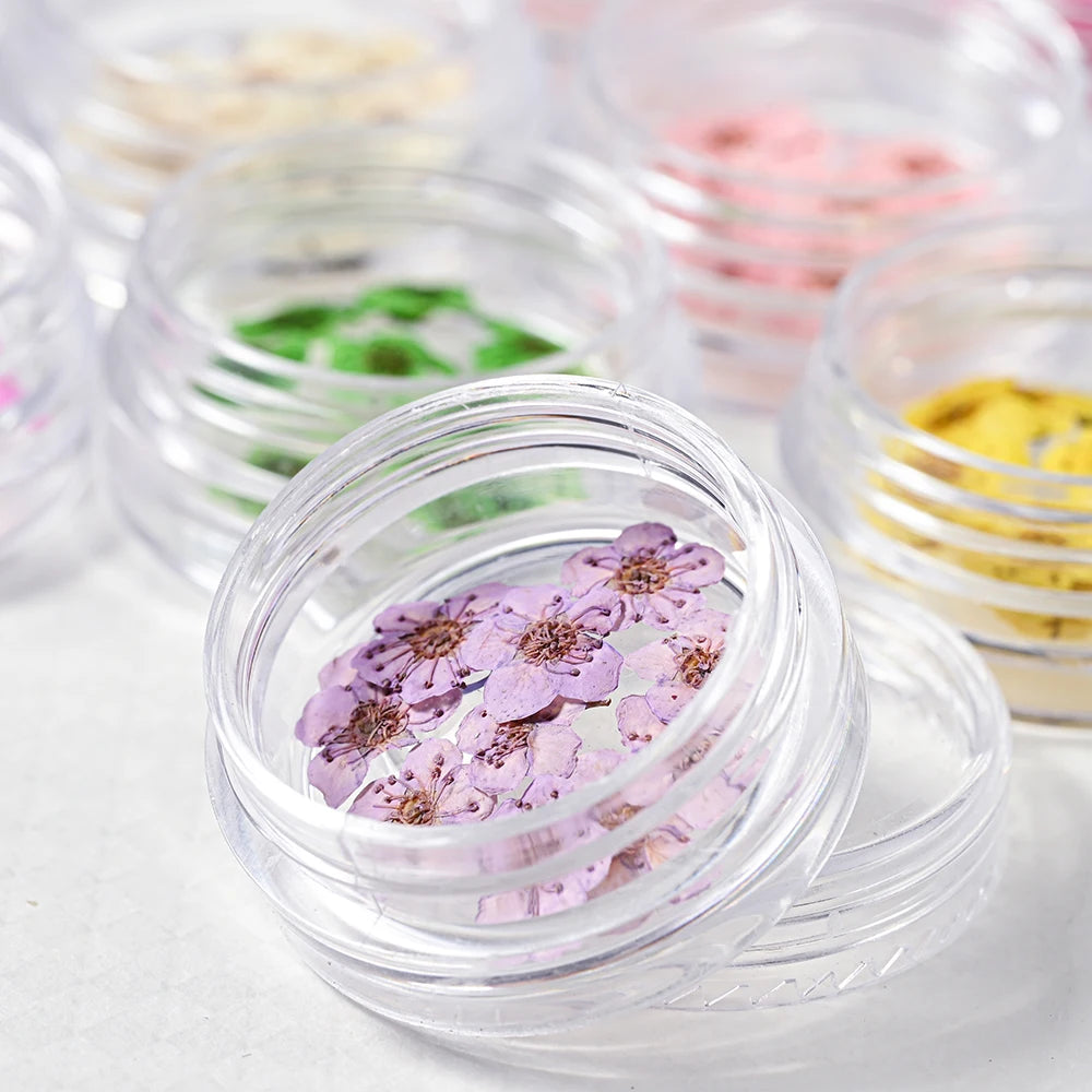 16Color Dried Flower Nail Art Decoration Mini Real Natural Daffodil Flower Nail Art Supplies 3D Dry Flowers Manicure DIY Design*