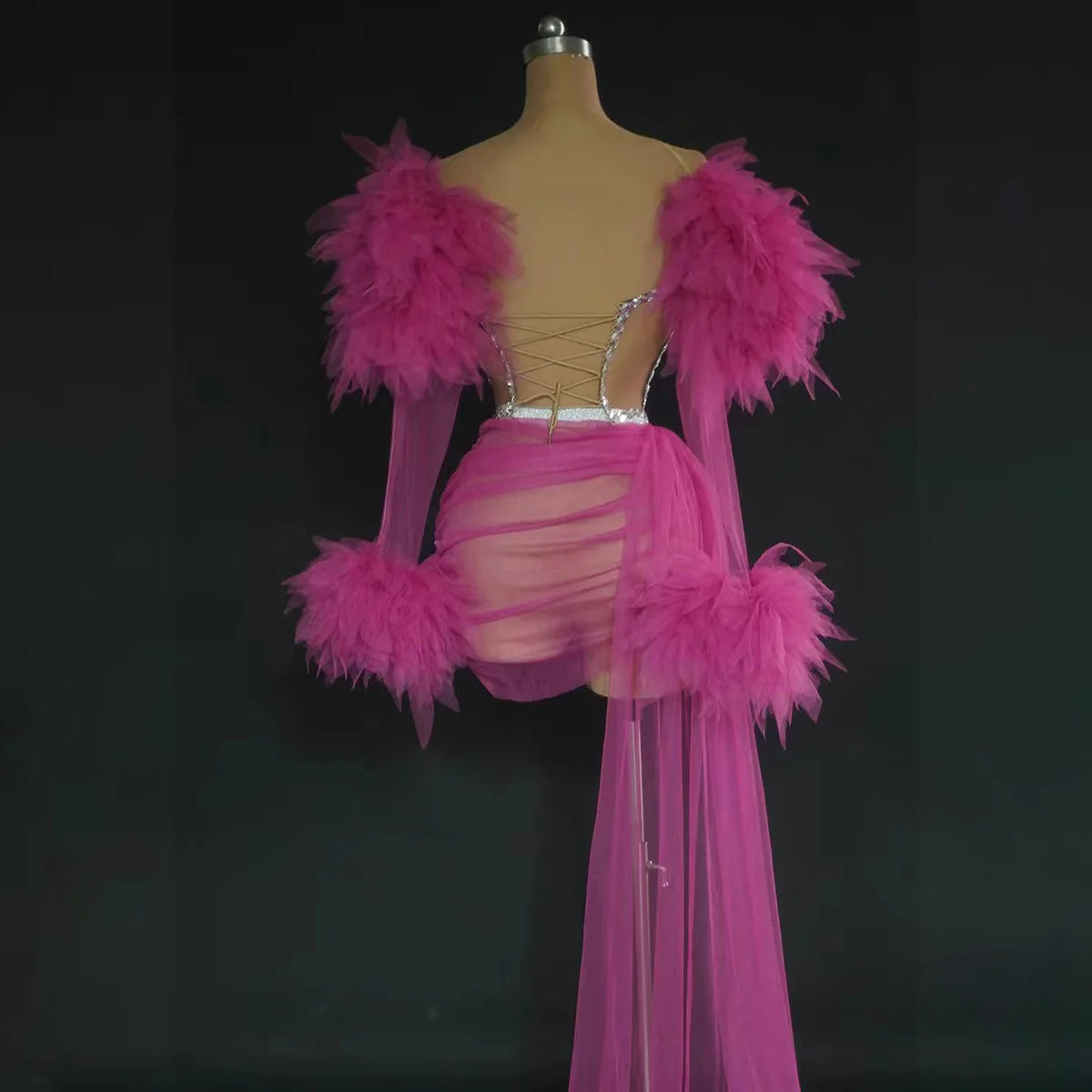 See Thru Feather Dress