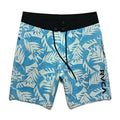 Classic BoardShorts