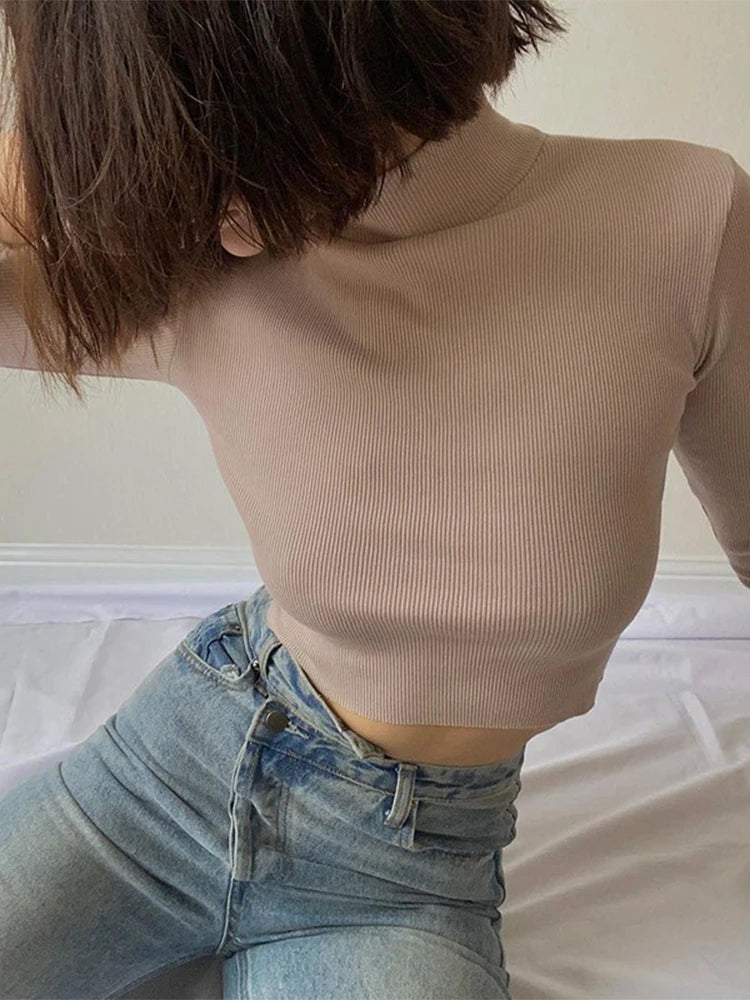 Solid Nude Turtleneck Cropped Tee
