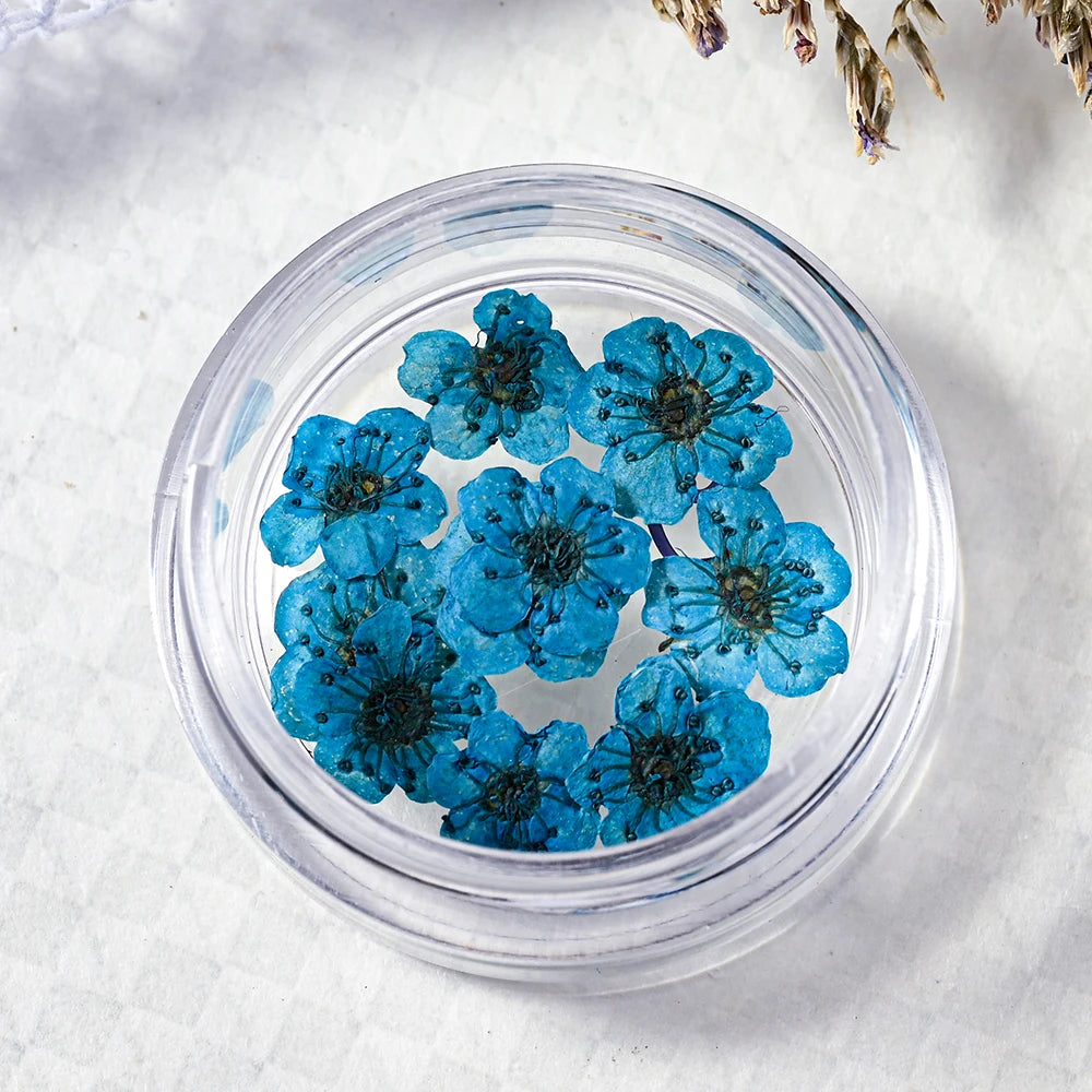 16Color Dried Flower Nail Art Decoration Mini Real Natural Daffodil Flower Nail Art Supplies 3D Dry Flowers Manicure DIY Design*