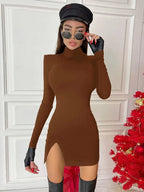 Long Sleeve Bodycon Solid Mini Dress