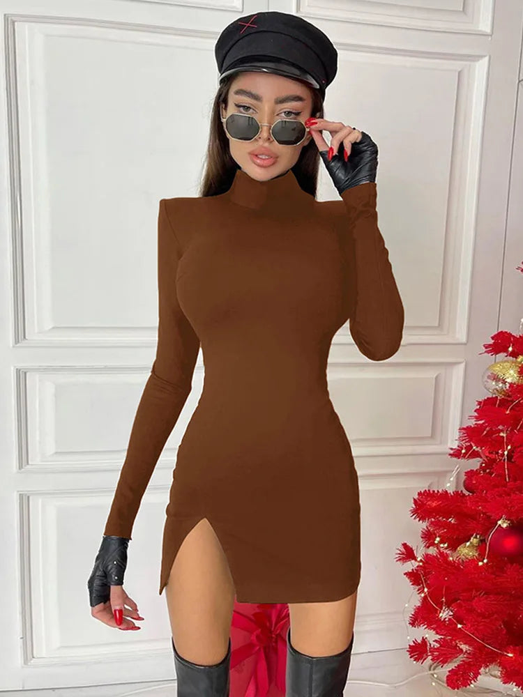 Long Sleeve Bodycon Solid Mini Dress