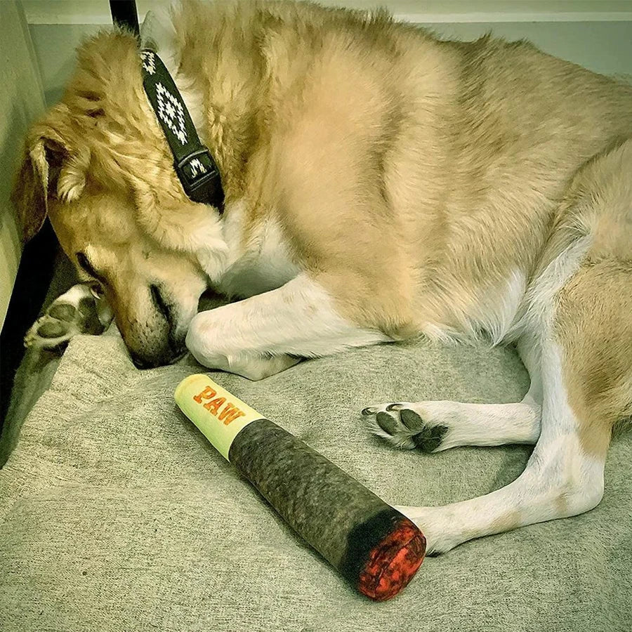 PAW Toy