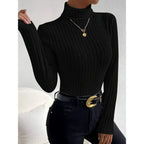 Ribbed Knit Turtleneck