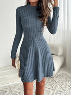 Mock Neck Ribbed Knit Skater Dress