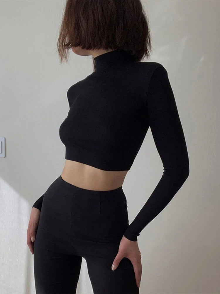 Solid Nude Turtleneck Cropped Tee