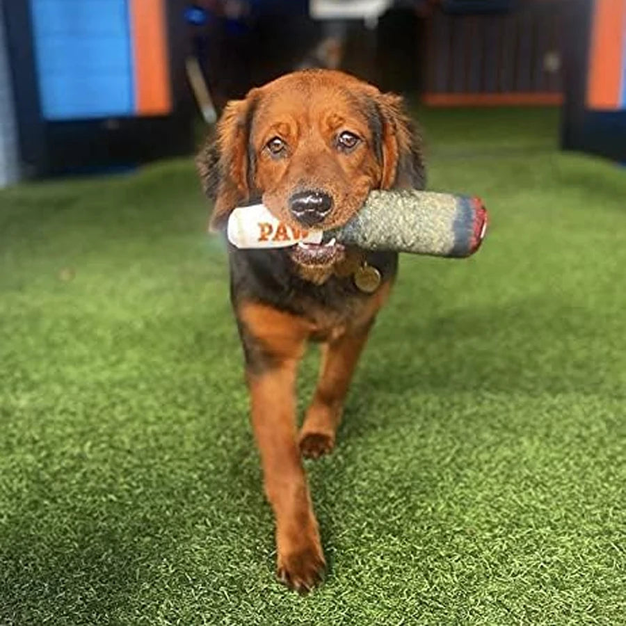 PAW Toy