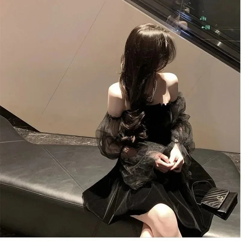 Lace Chiffon Mini Dress