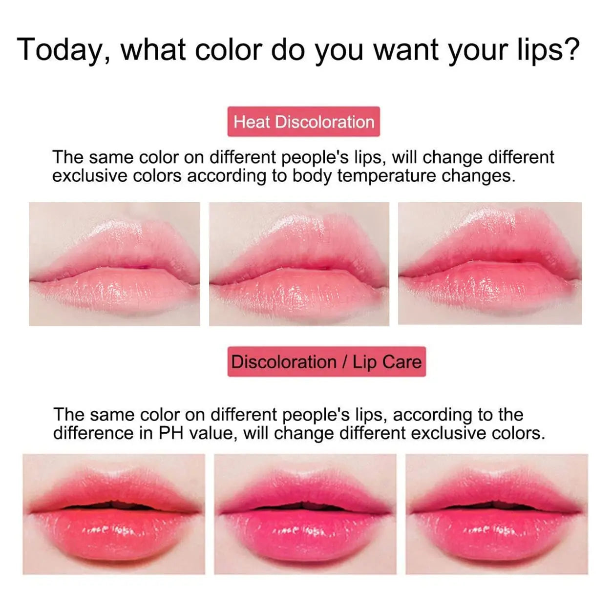 2pcs Aloe Vera Lipstick