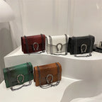 Snake Pattern Chain Small Square Bag