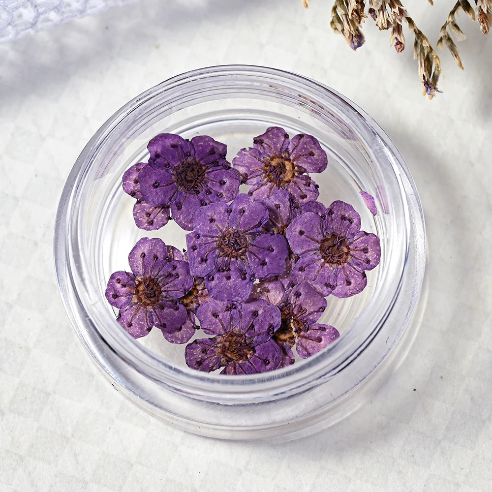 16Color Dried Flower Nail Art Decoration Mini Real Natural Daffodil Flower Nail Art Supplies 3D Dry Flowers Manicure DIY Design*