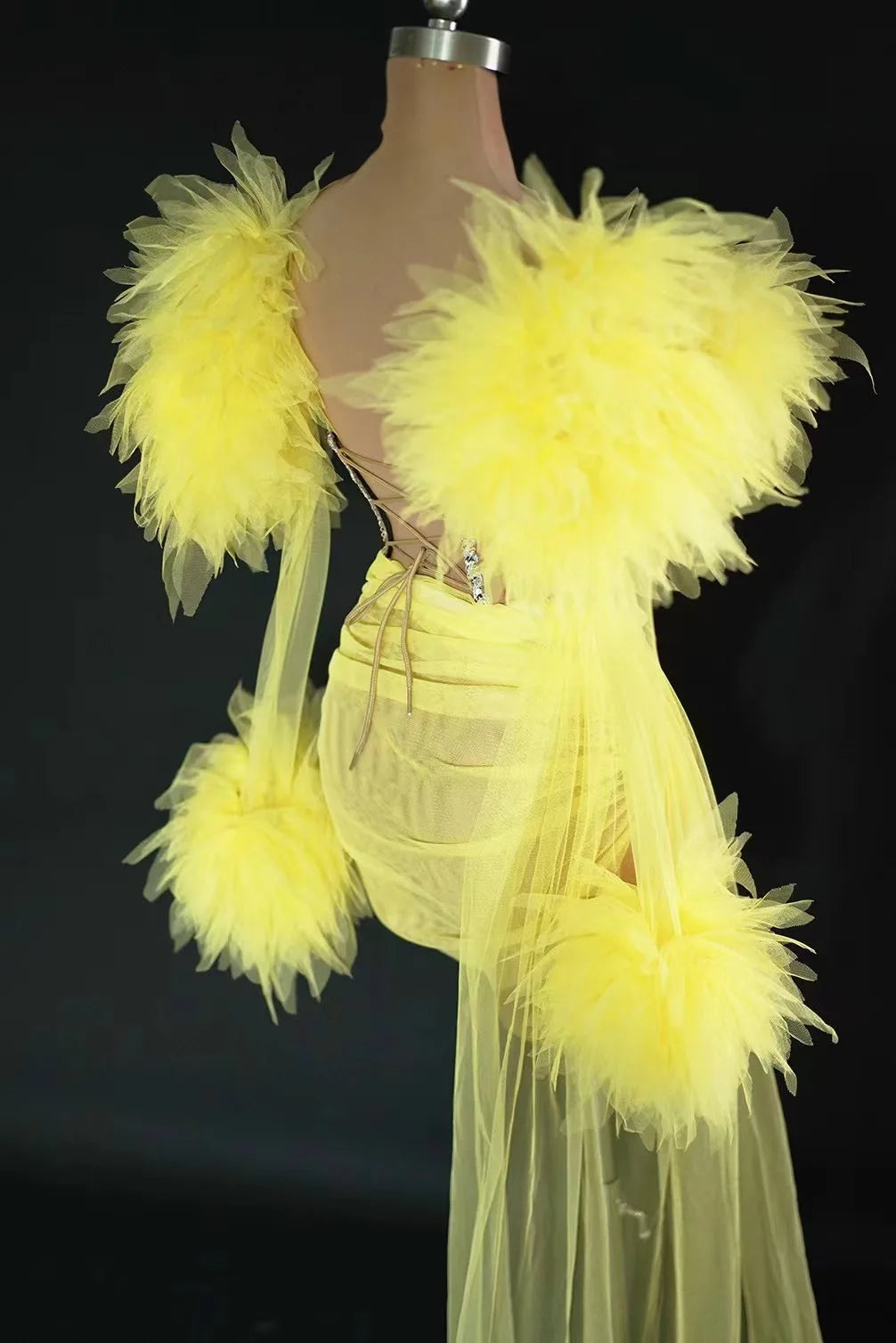 See Thru Feather Dress