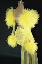 See Thru Feather Dress
