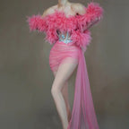 See Thru Feather Dress