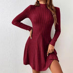 Mock Neck Ribbed Knit Skater Dress