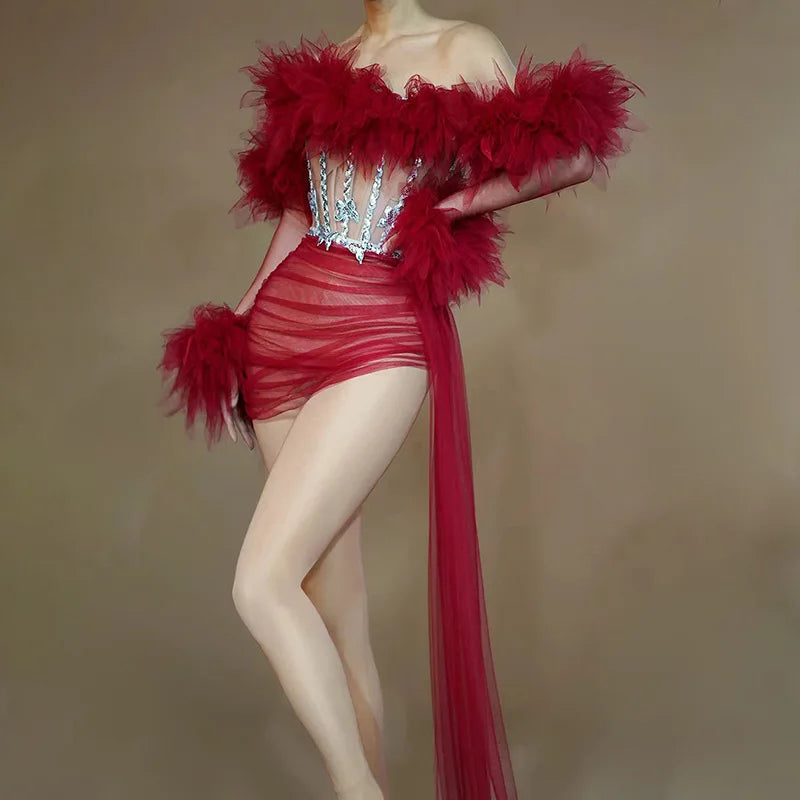 See Thru Feather Dress