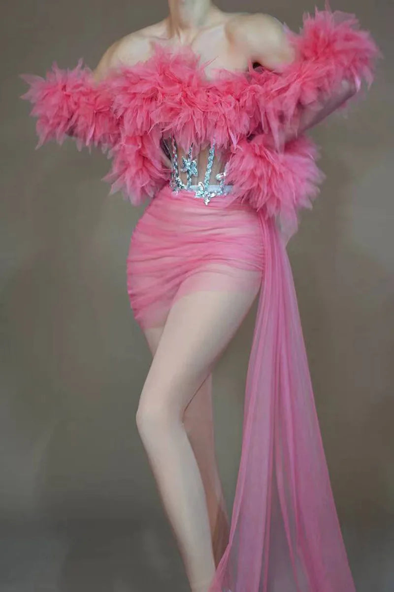 See Thru Feather Dress