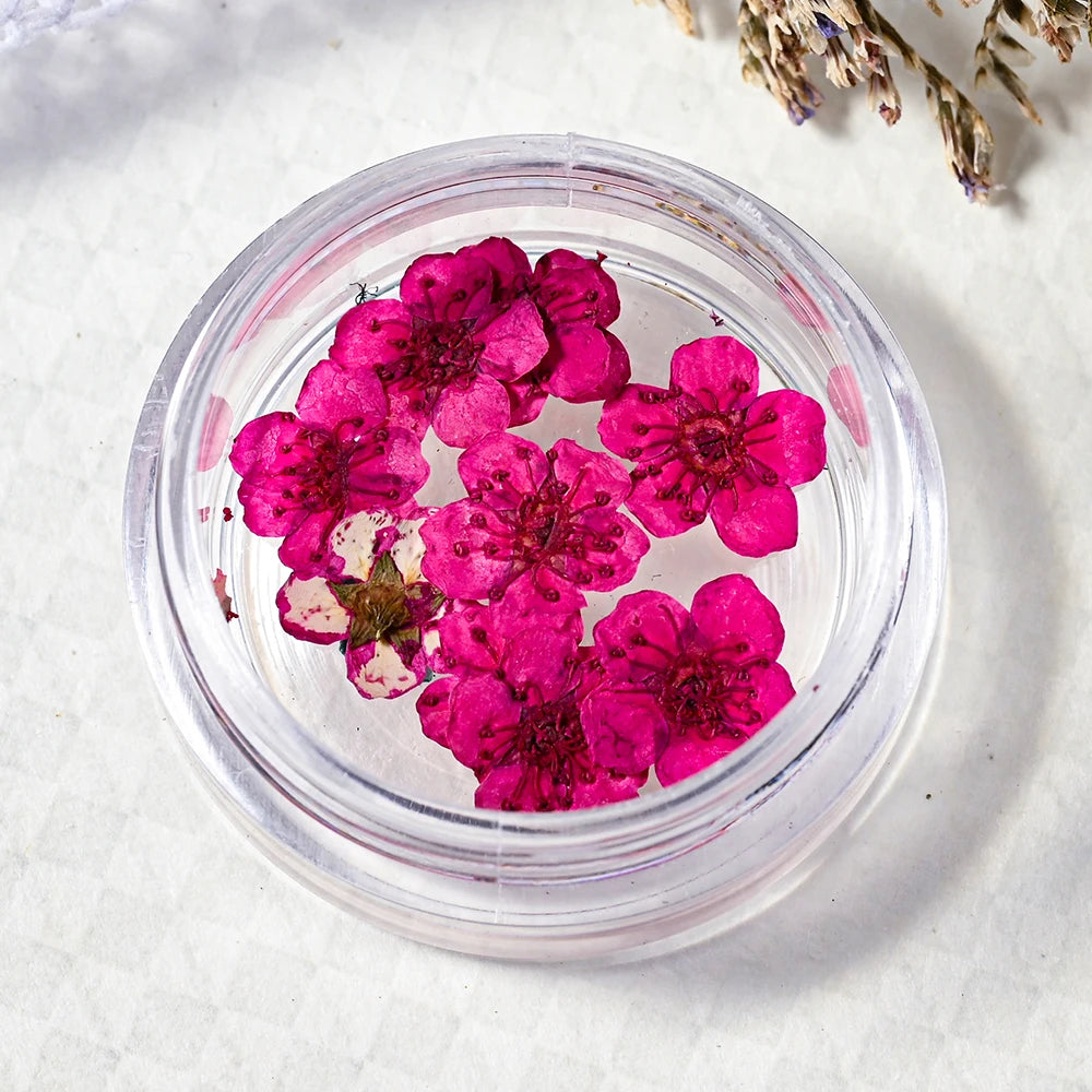 16Color Dried Flower Nail Art Decoration Mini Real Natural Daffodil Flower Nail Art Supplies 3D Dry Flowers Manicure DIY Design*