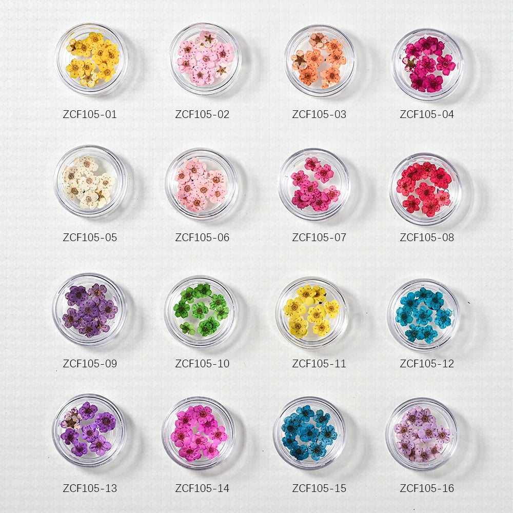 16Color Dried Flower Nail Art Decoration Mini Real Natural Daffodil Flower Nail Art Supplies 3D Dry Flowers Manicure DIY Design*