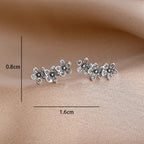 925 Silver Earrings