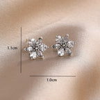 925 Silver Earrings