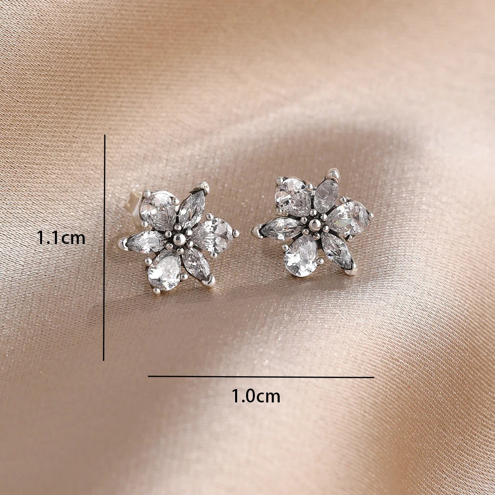 925 Silver Earrings
